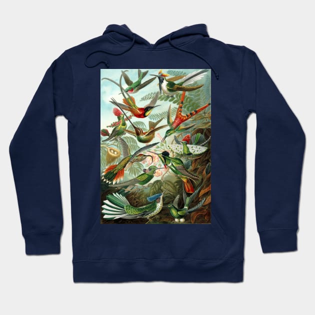 Hummingbirds Trochilidae by Ernst Haeckel Hoodie by MasterpieceCafe